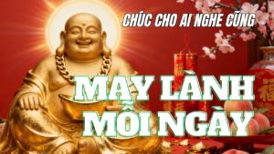 nhạc nền nhẹ nhàng cho cửa hàng