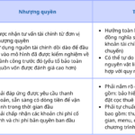so sánh nhượng quyền và tự mở