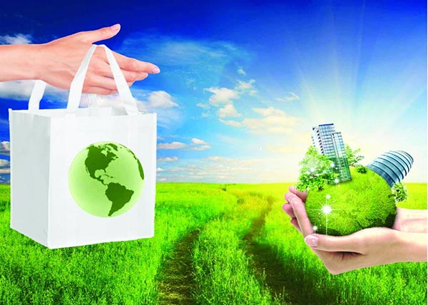 sử dụng túi thân thiện môi trường - Hình 4