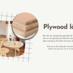 Ưu điểm gỗ Plywood: Giải pháp tối ưu cho xây dựng và nội thất hiện đại ưu điểm gỗ plywood