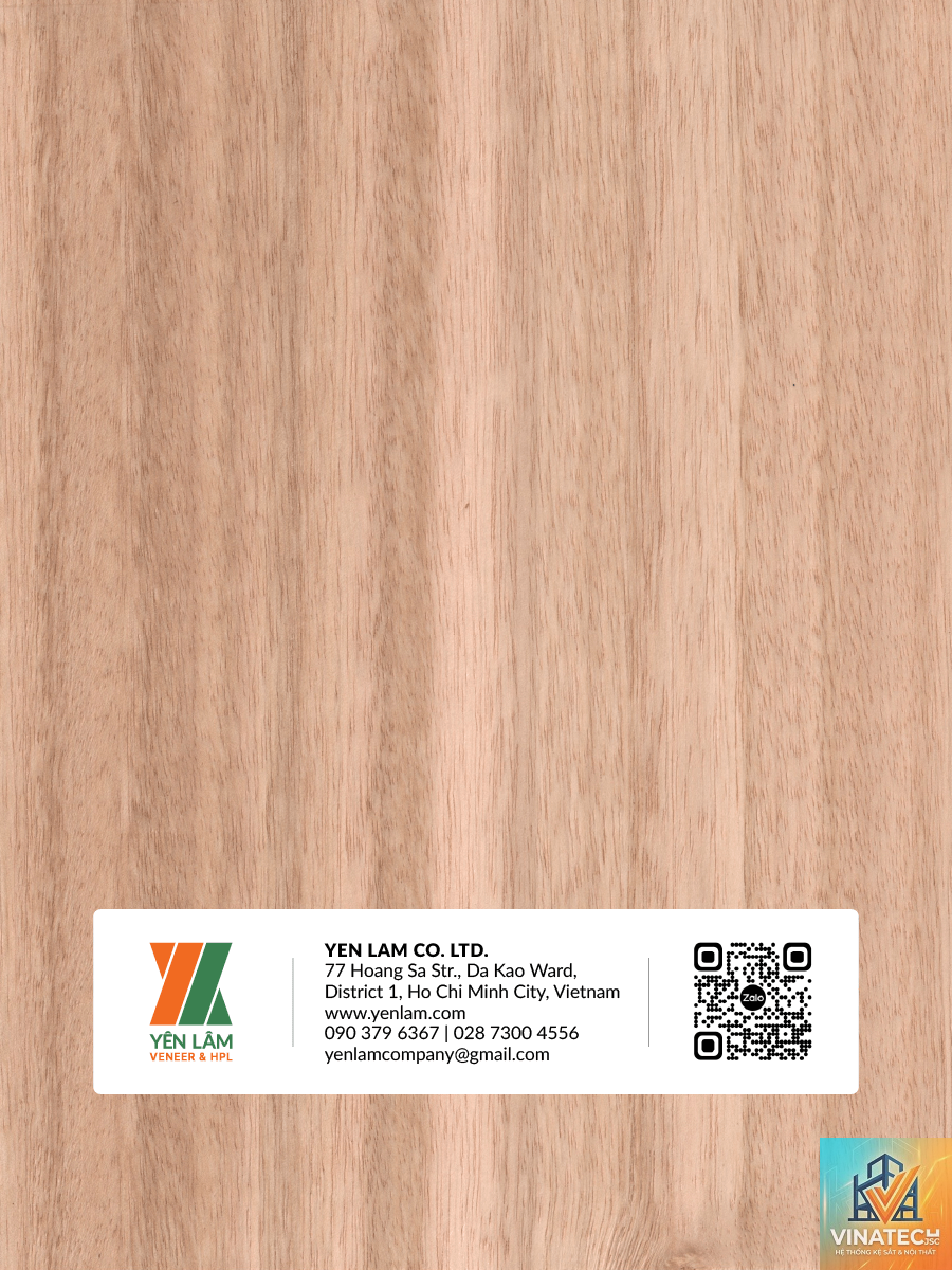 ván ép bạch đàn là gì - Hình 5
