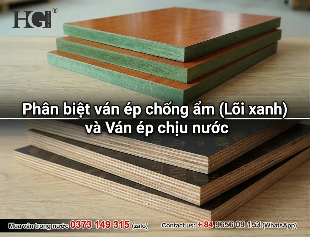 ván ép chịu nước là gì - Hình 4