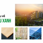 Vật liệu xanh là gì? Giải mã xu hướng kiến trúc bền vững và ứng dụng thực tế vật liệu xanh là gì