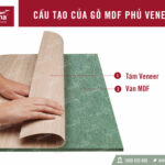 veneer là gì