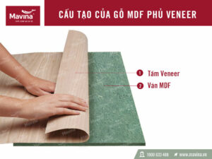 veneer là gì