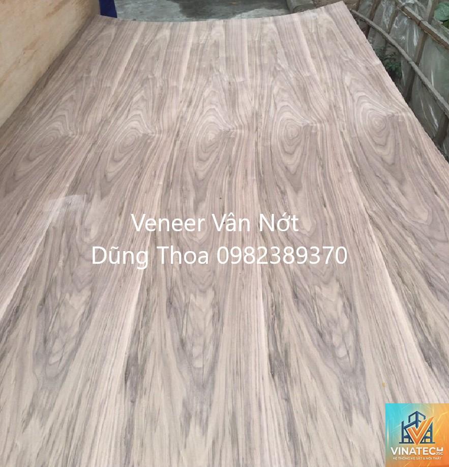 veneer óc chó - Hình 2