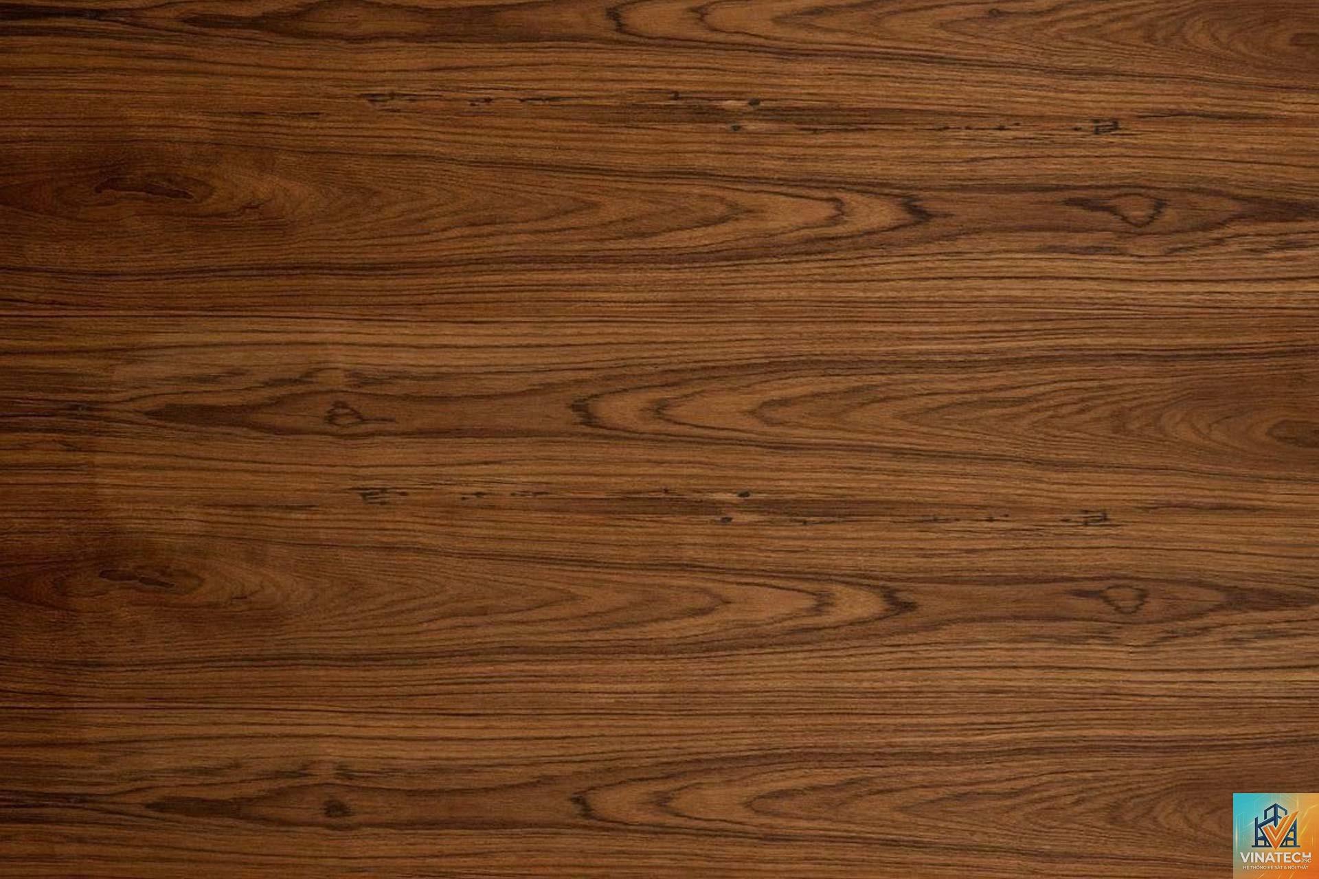 veneer óc chó - Hình 3