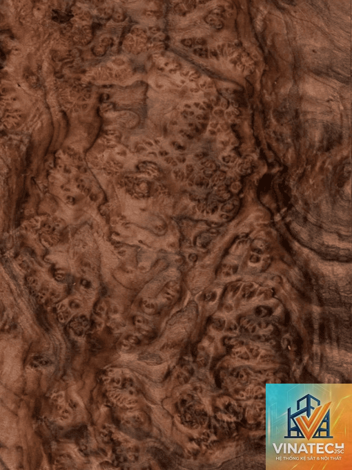veneer óc chó - Hình 4