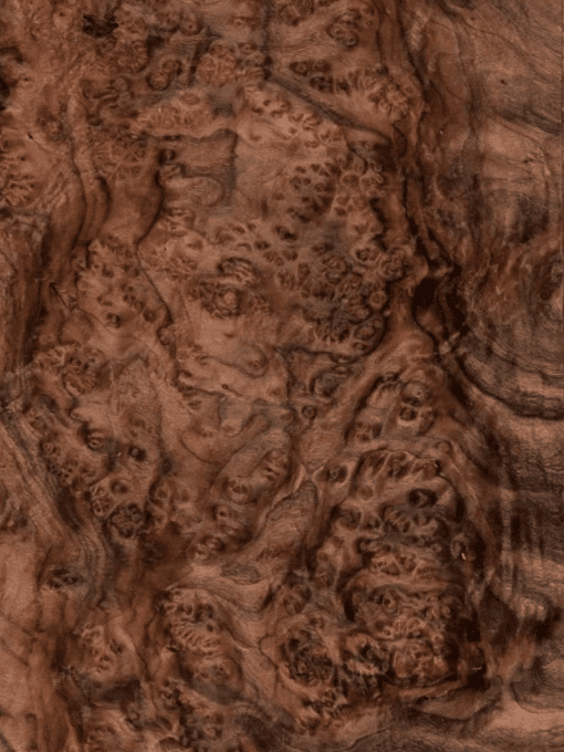veneer óc chó - Hình 4