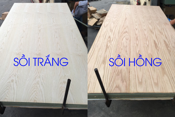 veneer sồi - Hình 2