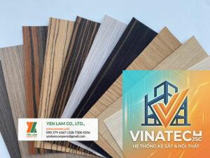 veneer tái tạo là gì