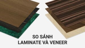 veneer và laminate
