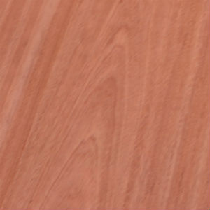 veneer xoan đào - Hình 4