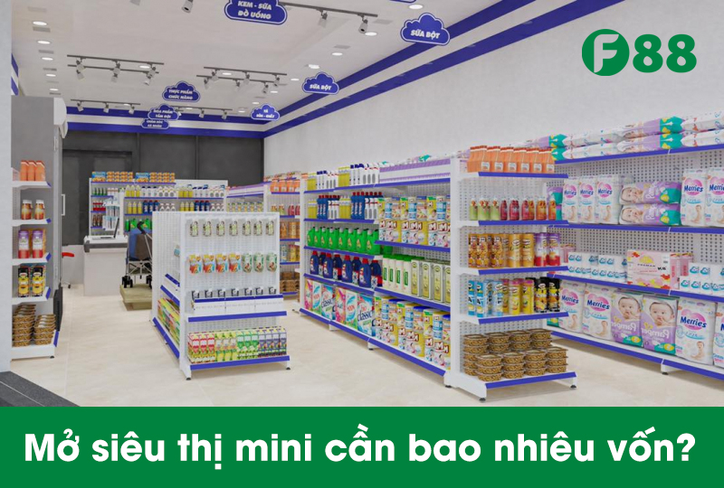 vốn 250 triệu mở siêu thị mini - Hình 4
