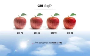 CRI là gì