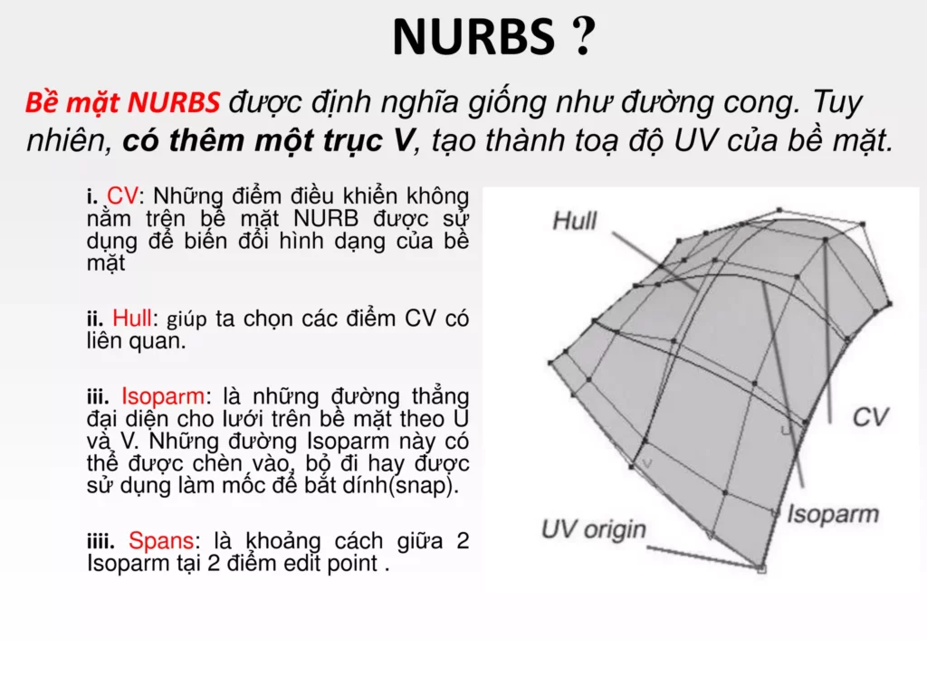 NURBS là gì