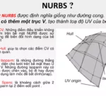 NURBS là gì