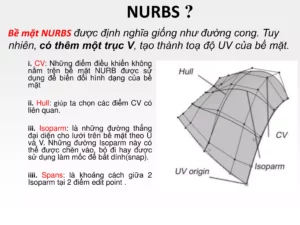 NURBS là gì