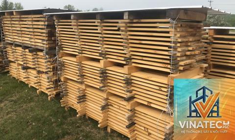 air dried wood là gì - Hình 4