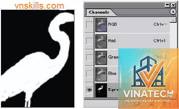 alpha channel là gì