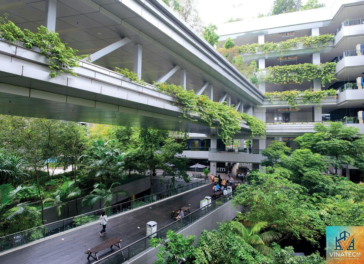 biophilic interior là gì - Hình 5