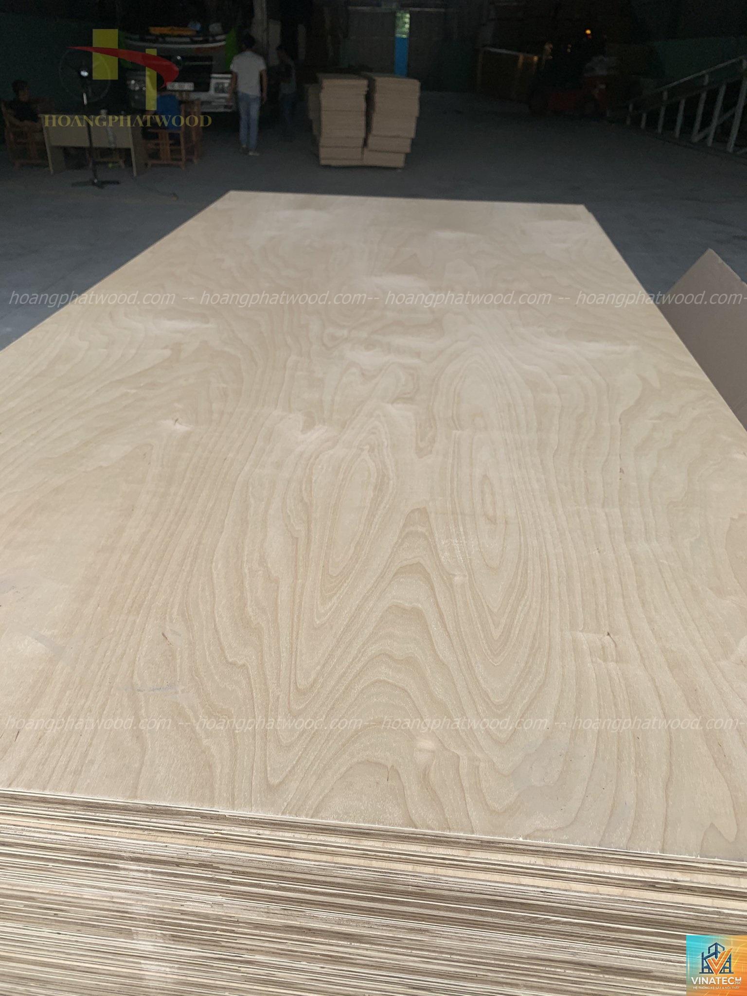 birch plywood là gì - Hình 2