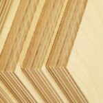 Birch Plywood Là Gì? Đặc Điểm, Ứng Dụng Và So Sánh Vượt Trội