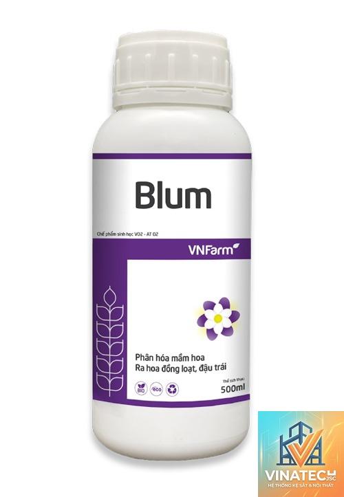 blum là gì - Hình 5