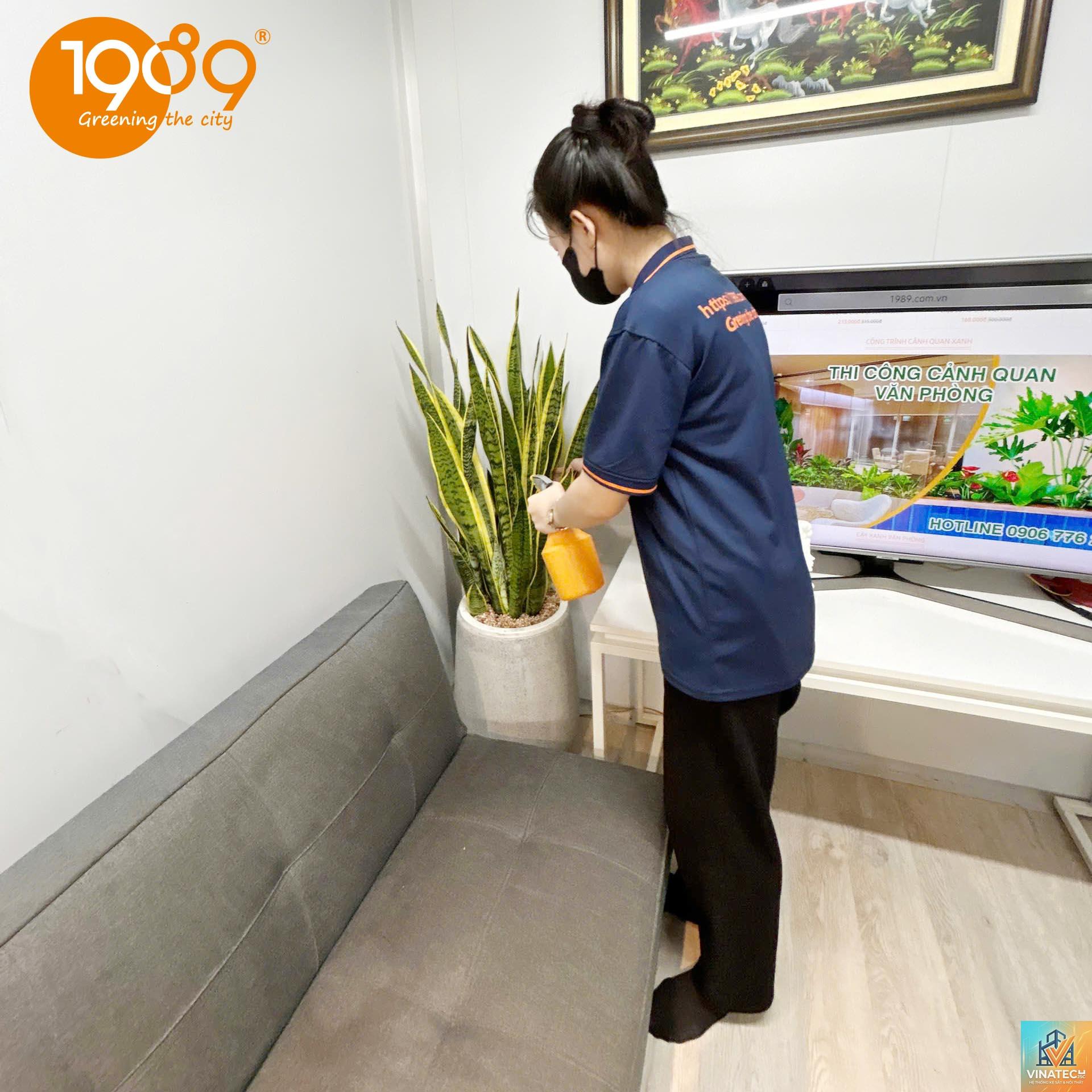 cẩm nang chăm sóc cây nội thất - Image 5