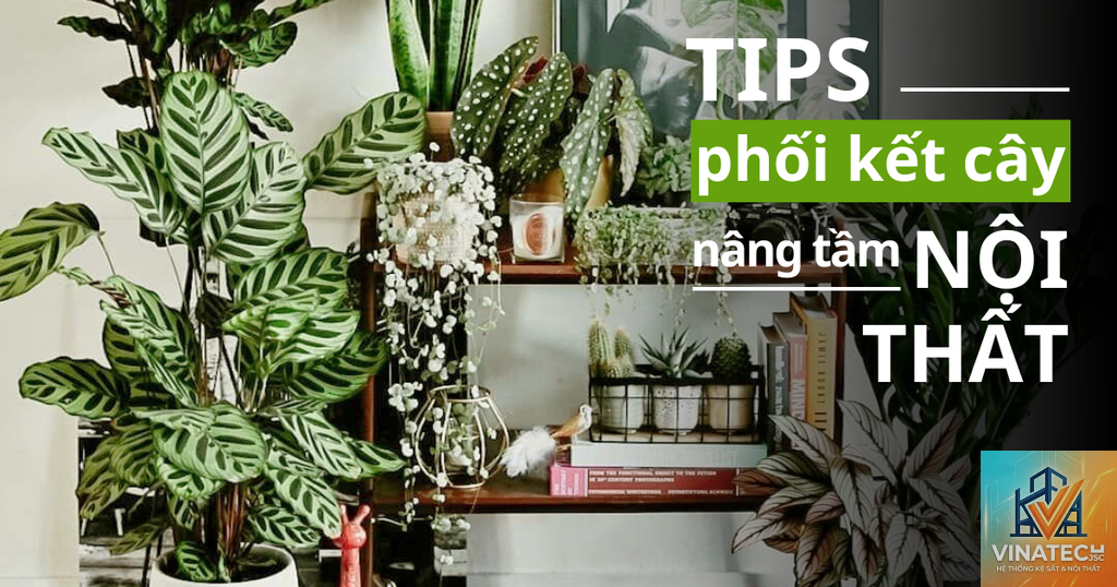 cẩm nang chăm sóc cây nội thất