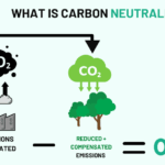 Carbon Neutral Interior Là Gì? Giải Pháp Nội Thất Trung Hòa Carbon Cho Tương Lai Bền Vững carbon neutral interior là gì