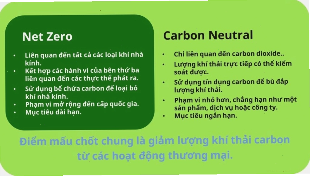 carbon neutral interior là gì - Hình 2