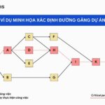 Circulation Path Là Gì? Tìm Hiểu Chi Tiết Về Đường Lối Lưu Thông Trong Kiến Trúc Và Đời Sống Circulation Path Là Gì? Tìm Hiểu Chi Tiết Về Đường Lối Lưu Thông Trong Kiến Trúc Và Đời Sống