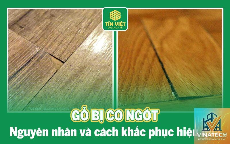 co ngót gỗ là gì - Hình 2