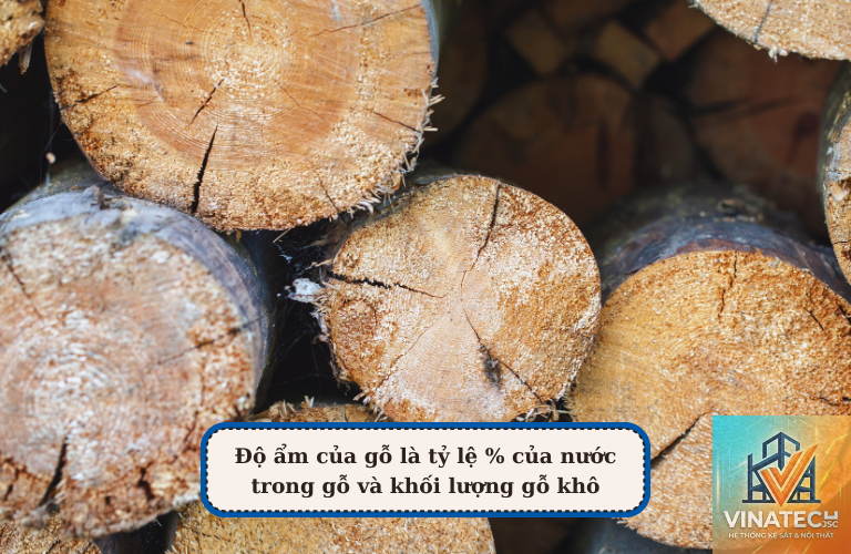 độ ẩm gỗ là gì - Hình 3