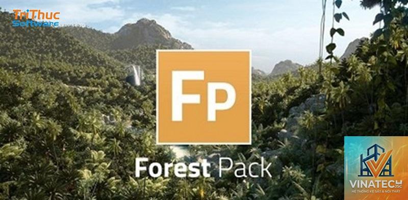 forest pack là gì - Hình 2
