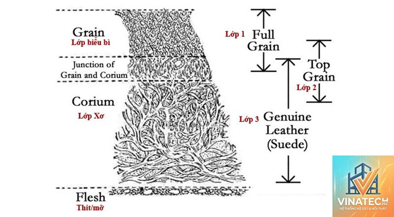 genuine leather là gì - Hình 3