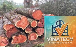 gỗ hương là gì