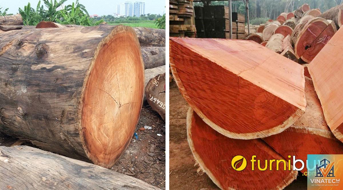 gỗ lim vs gỗ hương - Image 4