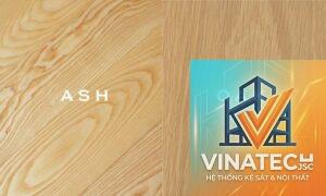 gỗ óc chó vs gỗ ash