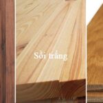 gỗ óc chó vs gỗ maple
