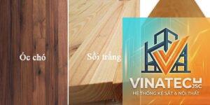 gỗ óc chó vs gỗ maple
