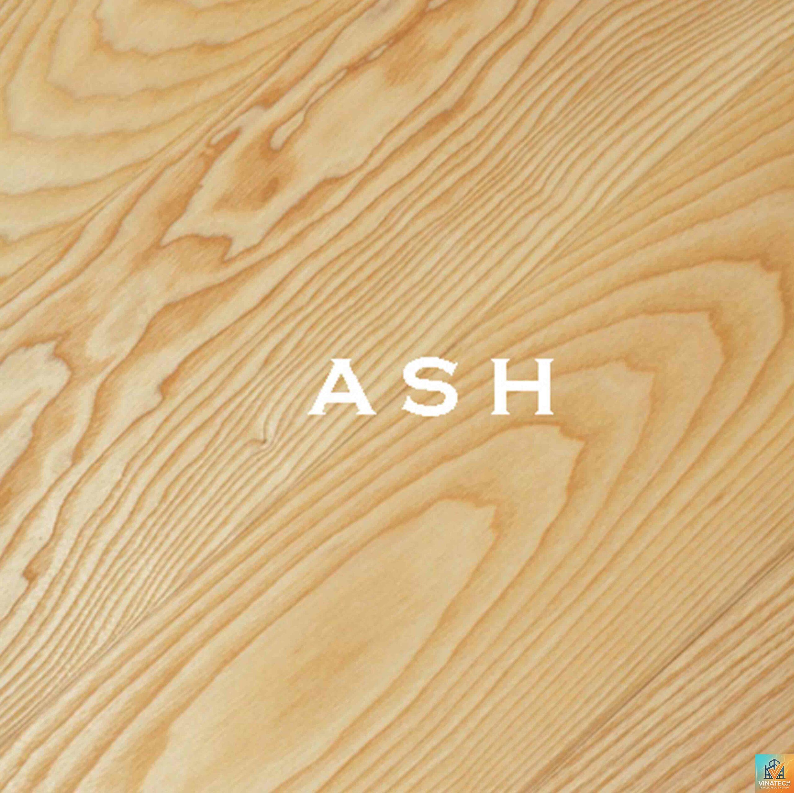 gỗ sồi vs gỗ ash - Image 4