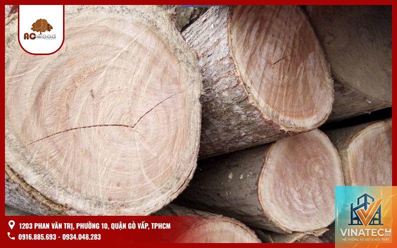 gỗ teak vs gỗ sồi - Image 2