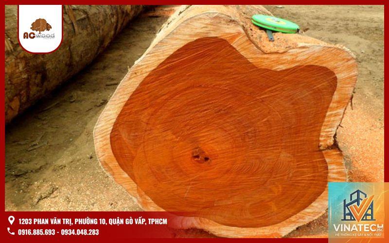 gỗ teak vs gỗ sồi - Image 4