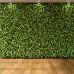 Green Wall Là Gì? Khám Phá Toàn Diện Vườn Xanh Đứng Cho Không Gian Sống green wall là gì
