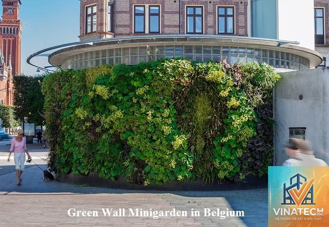 green wall là gì - Hình 2