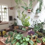 indoor garden là gì