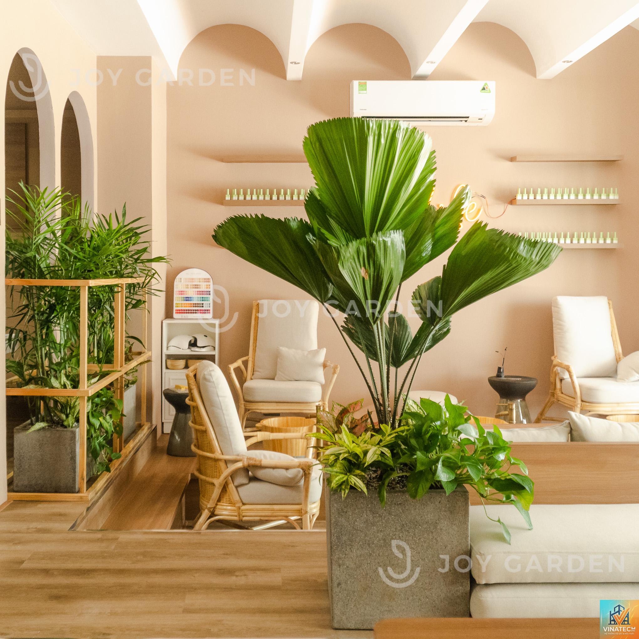 indoor garden là gì - Hình 2
