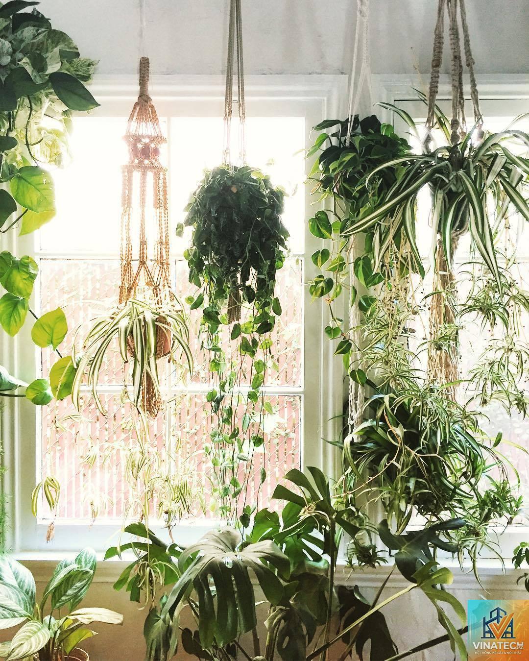 indoor garden là gì - Hình 3